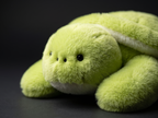Dozy™ Weighted Plush